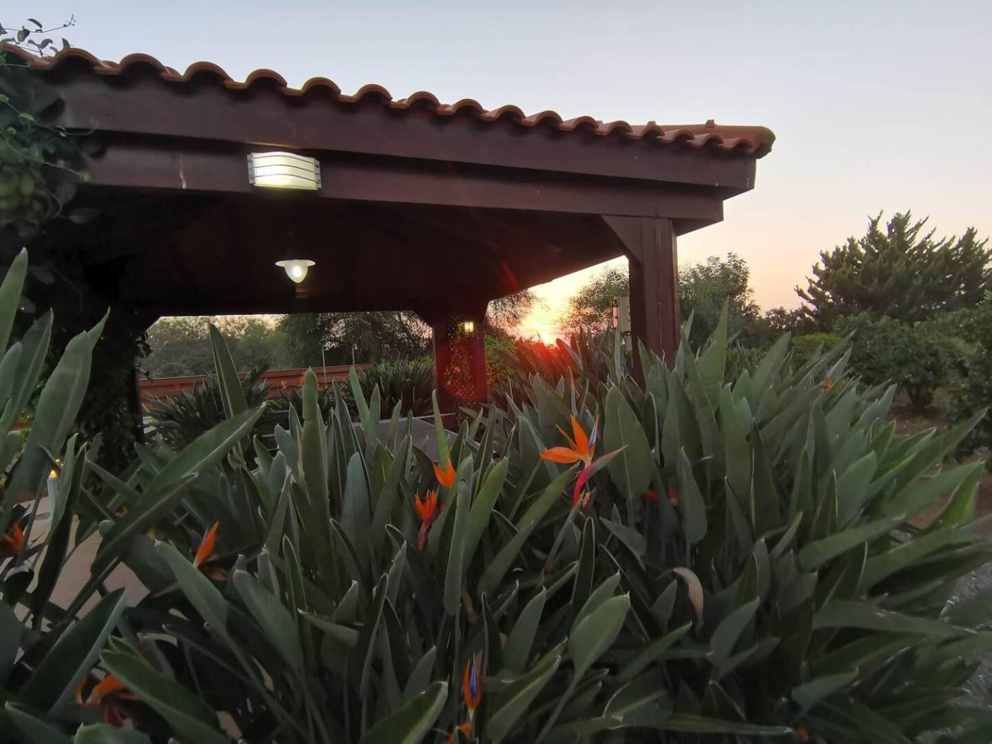 Orchard Blossom Private Villa With Pool Phrenaros Exterior photo